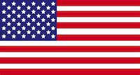STS Homepage American Flag